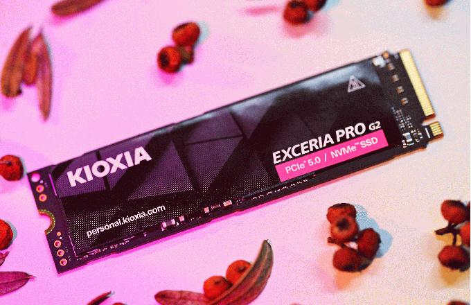 铠侠EXCERIA PRO™ 极至超速™ G2 (VE10) 1TB上